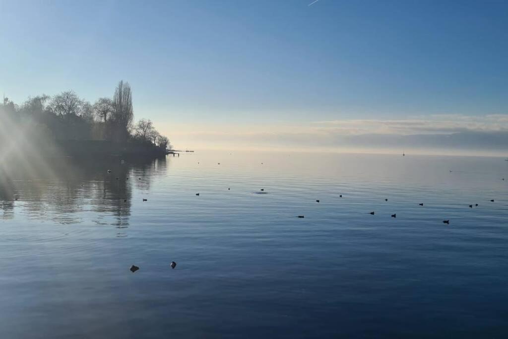 Le Duc Appartement Thonon-les-Bains Buitenkant foto