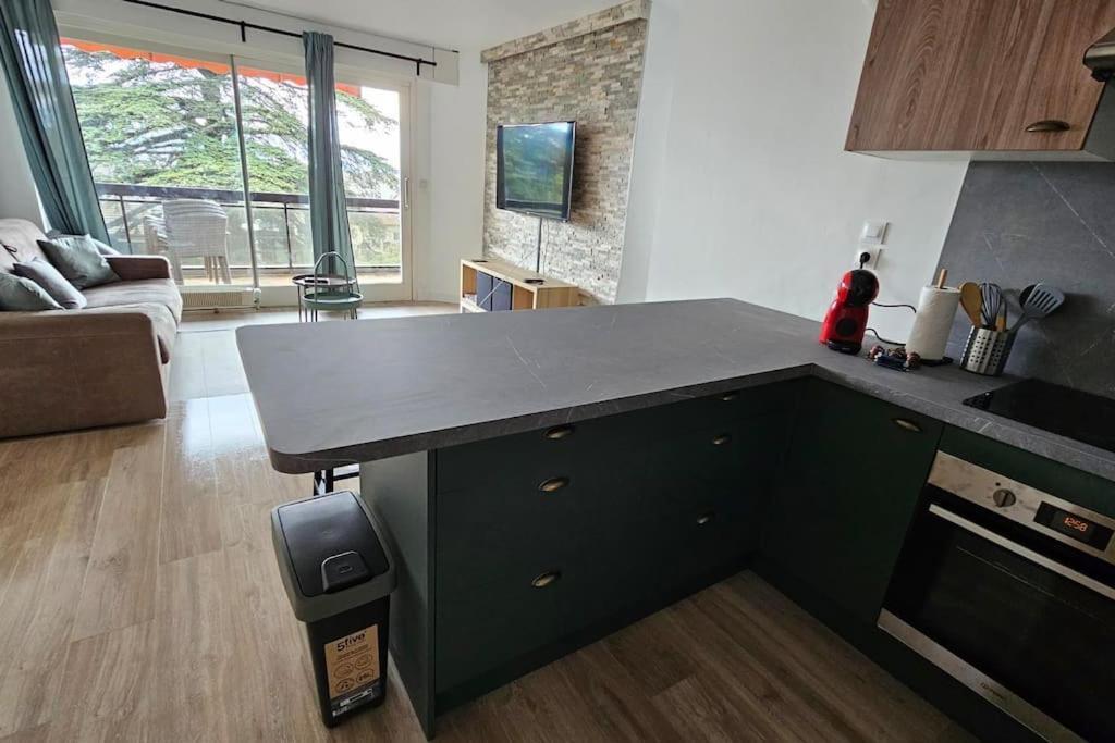 Le Duc Appartement Thonon-les-Bains Buitenkant foto